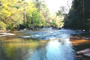 Over 2 miles along the Tallulah River, with great trout fishing!