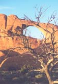 Arches National Park - arch prior to collapsing