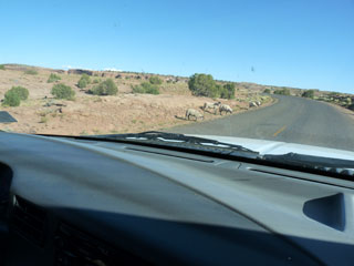 Sheep along the road at Canyon de Chelly