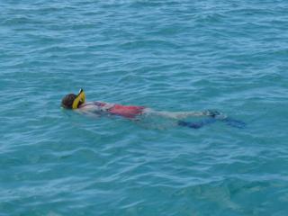 Scuba diving in Roatan