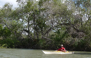 Ken Johnson Kayak Tours