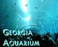 Georgia Aquarium feature now posted on Southpoint.com