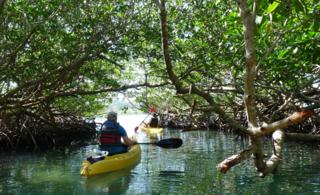Kayaking at Turquoise Bay in Roatan