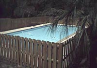 Swimming pool among palm trees