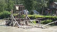 Fish Wheel