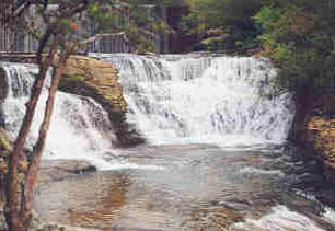 Upper Desoto Falls