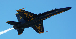 Closeup shot of a Blue Angel