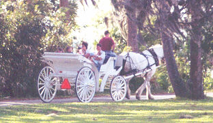 A leisurely afternoon ride.