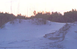 The movie Glory was filmed here on the beaches of Jekyll Island.