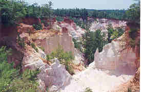 Eroded canyon of Providence Canyon State Park