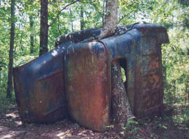 Tree growing through an ancient abandoned truck