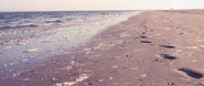 Walking the beach at Tybee Island