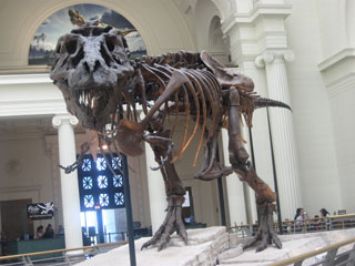 Field Museum, home to the huge TRex dinosaur.