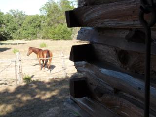 Detail view of Michelle's Log Cabin with hewn exterior cedar log walls