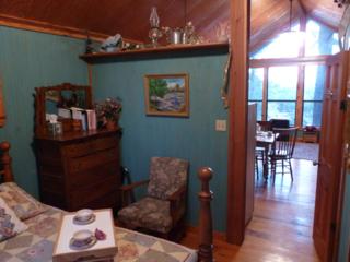 Bedroom of Eagle's Nest looking towards the living area