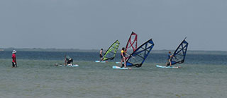 Beginner classes use Exocet Cruiser boards.