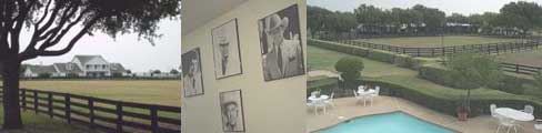 Famous view of the front from the tree-lined driveway, the Ewing men on display, and a view from the second floor balcony of the ranch