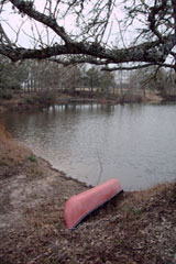 The 3 acre pond next to the Lonesome Dove B&B